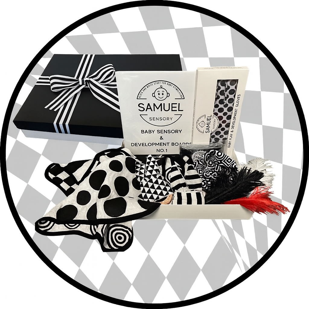The Ultimate Baby Sensory & Development Gift Box