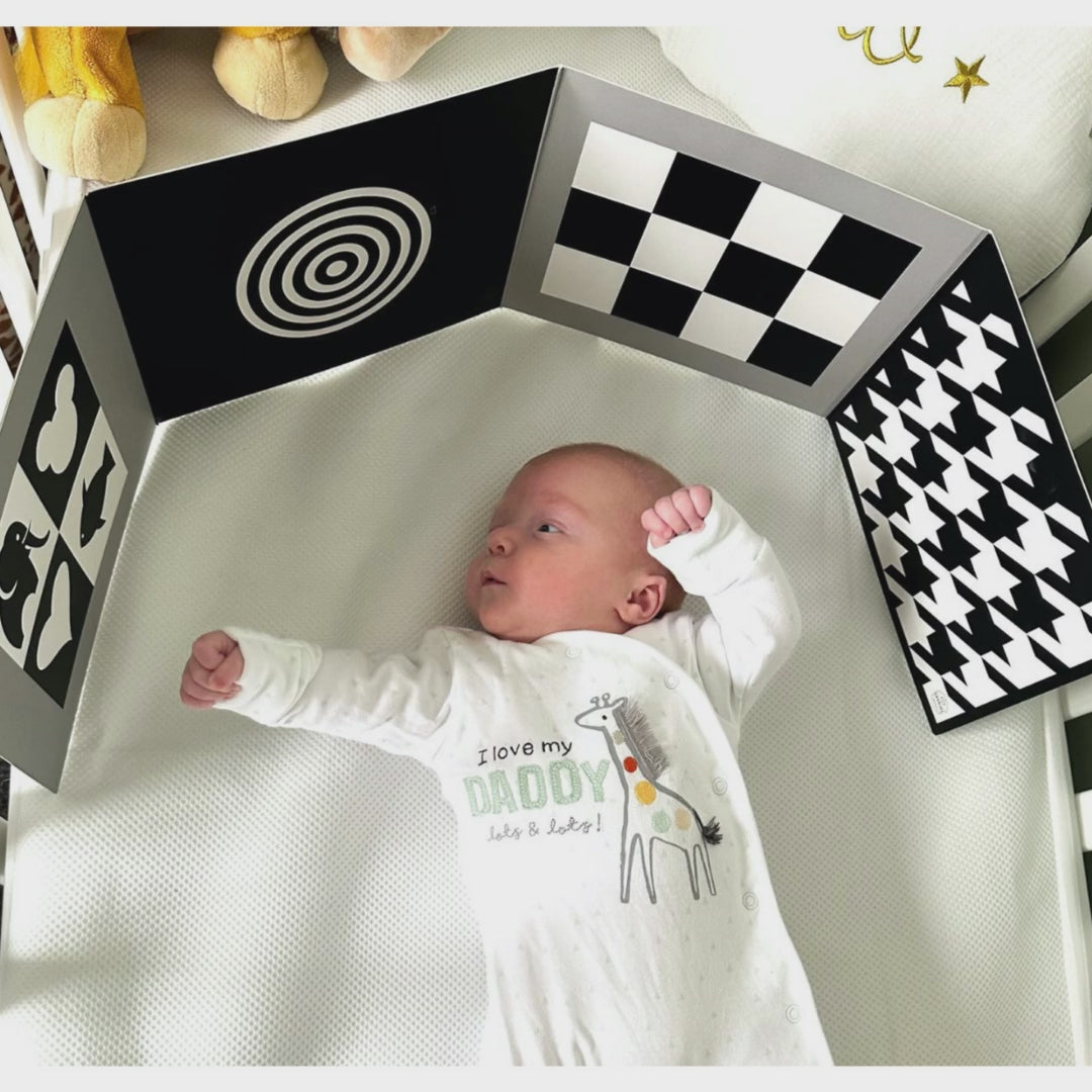 Sensory & Development Boards