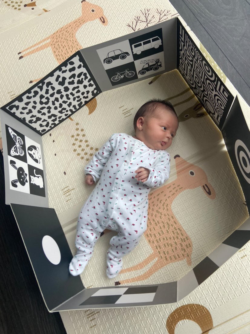 Sensory & Development Boards