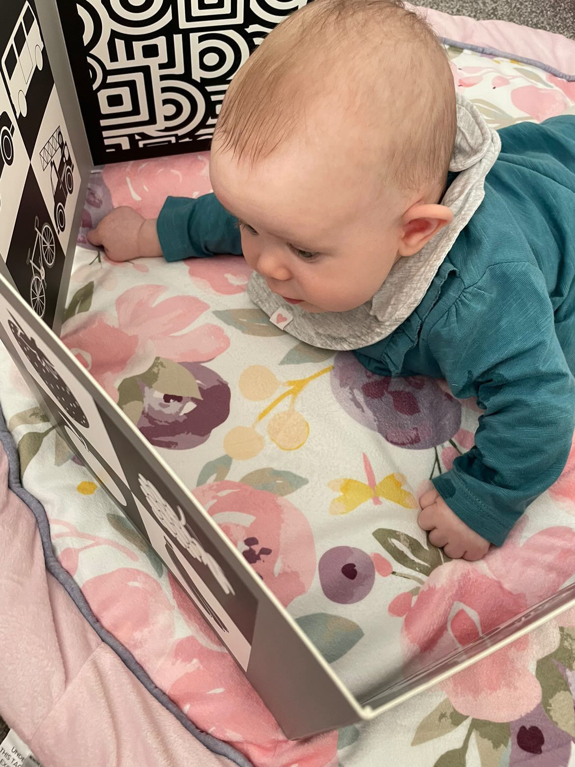 Sensory & Development Boards No.2