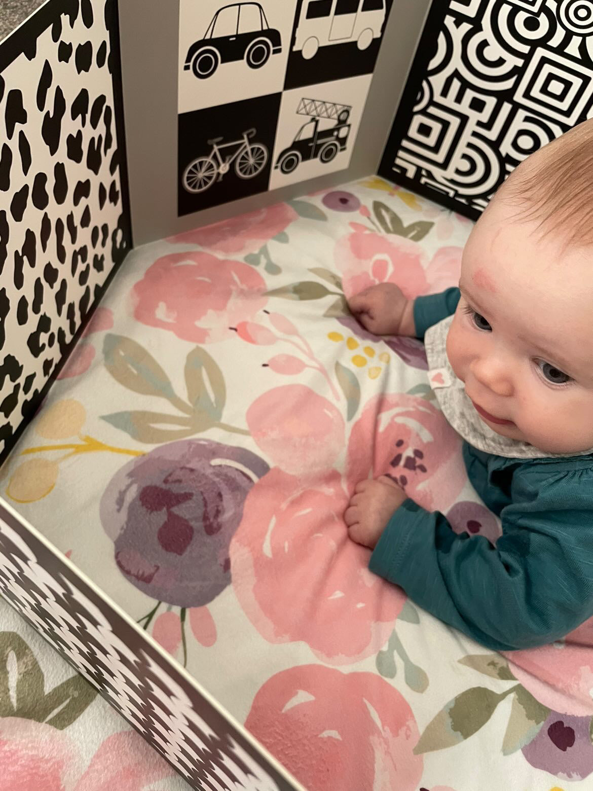 Sensory & Development Boards Luxury Double Gift Pack