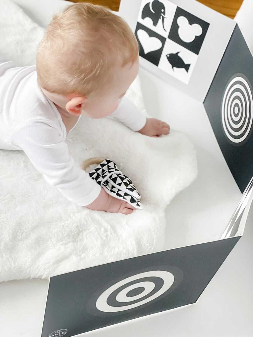 Sensory & Development Boards