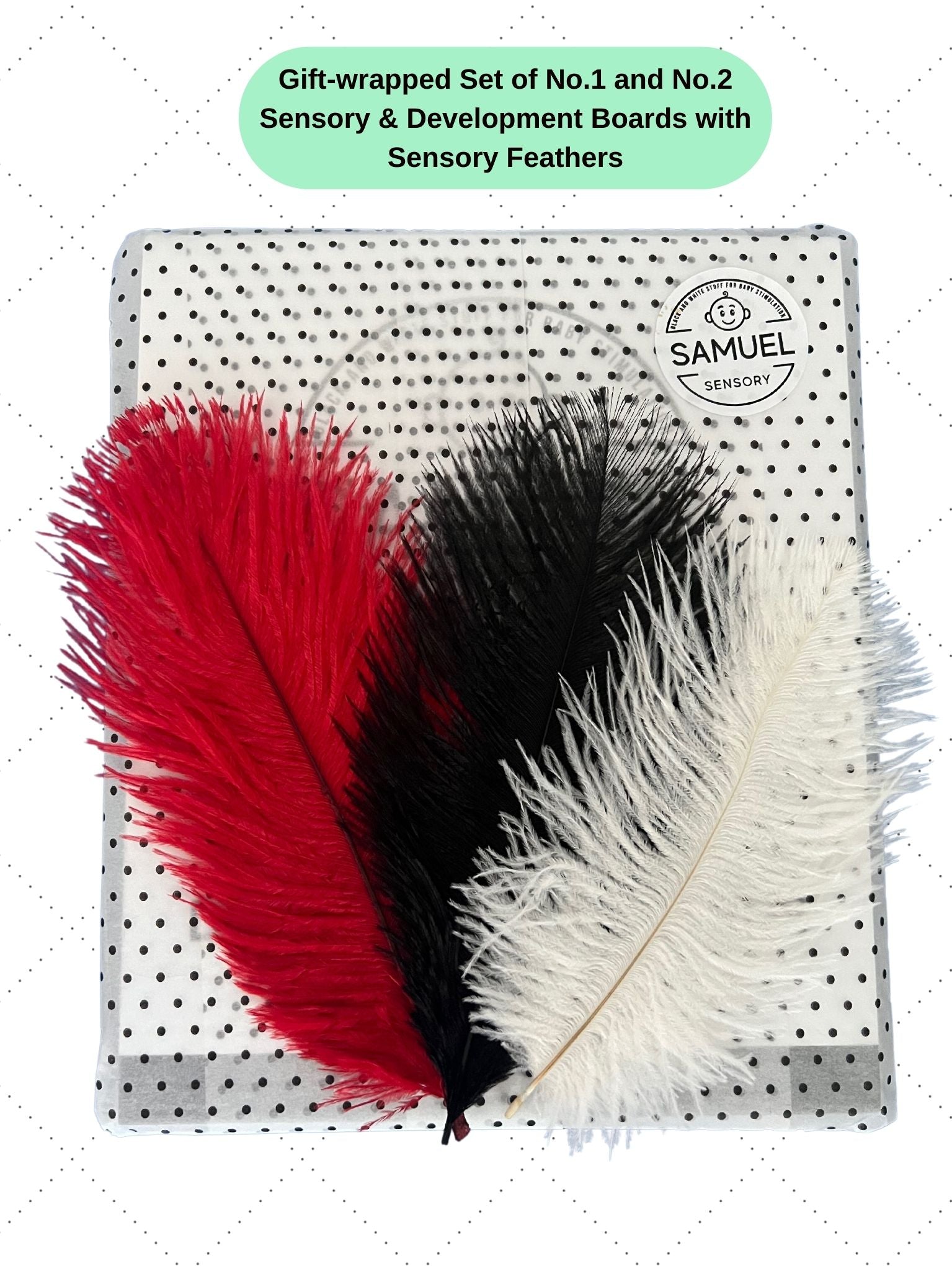 Black and white sensory boards