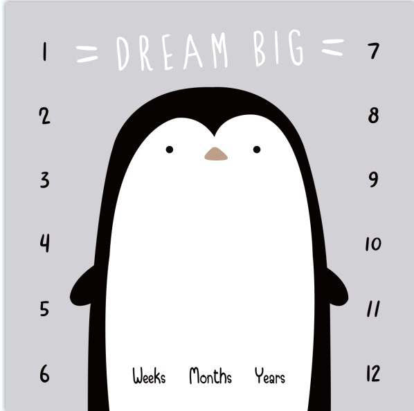 Dream Big - Baby Milestone Blanket