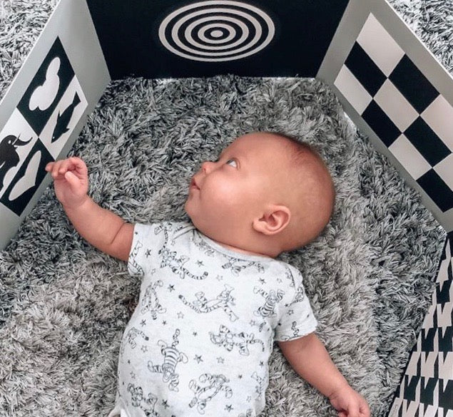 High contrast baby toys