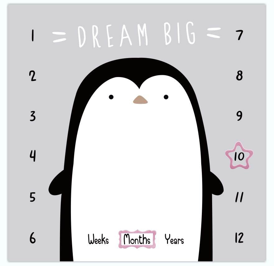 Dream Big - Baby Milestone Blanket